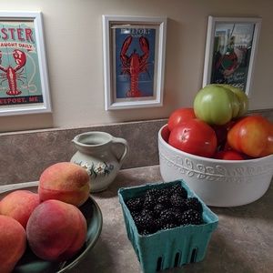 Meet your Posher, Donna